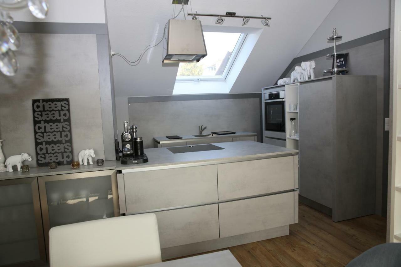 Apartment Mit Designerkueche, Loggia Ludwigsburg Nahe Stuttgart المظهر الخارجي الصورة